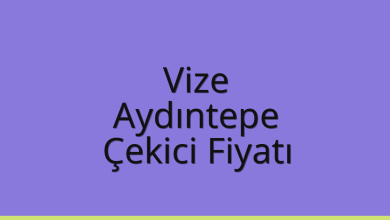 Vize Çekici Fiyatı – Aydıntepe Oto Kurtarıcı Ücreti