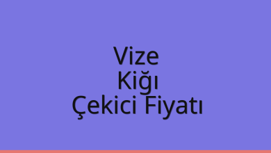 Vize Çekici Fiyatı – Kiğı Oto Kurtarıcı Ücreti