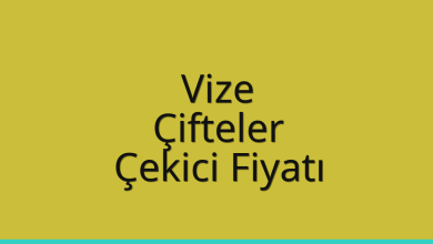Vize Çekici Fiyatı – Çifteler Oto Kurtarıcı Ücreti