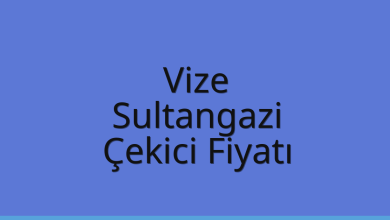 Vize Çekici Fiyatı - Sultangazi Oto Kurtarıcı Ücreti Vize Çekici Fiyatı – Sultangazi Oto Kurtarıcı Ücreti