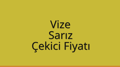 Vize Çekici Fiyatı – Sarız Oto Kurtarıcı Ücreti