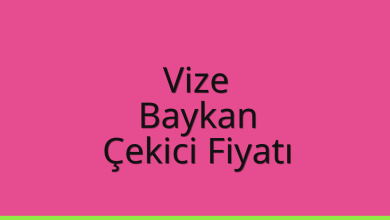 Vize Çekici Fiyatı – Baykan Oto Kurtarıcı Ücreti