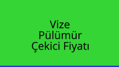Vize Çekici Fiyatı – Pülümür Oto Kurtarıcı Ücreti