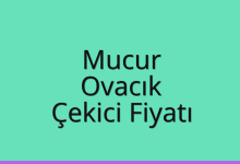 Mucur Çekici Fiyatı – Ovacık Oto Kurtarıcı Ücreti