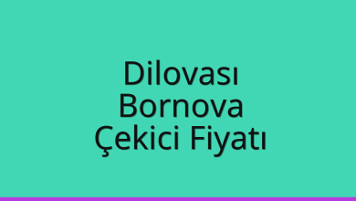 Dilovası Çekici Fiyatı – Bornova Oto Kurtarıcı Ücreti