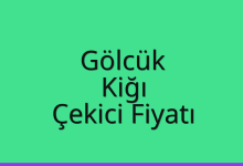 Gölcük Çekici Fiyatı – Kiğı Oto Kurtarıcı Ücreti