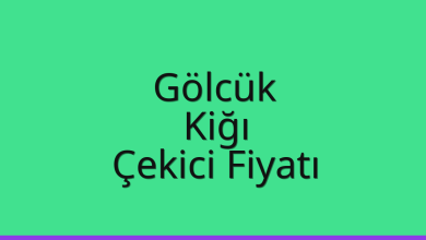 Gölcük Çekici Fiyatı – Kiğı Oto Kurtarıcı Ücreti