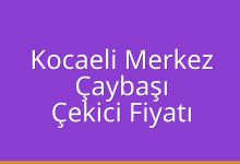 Kocaeli Merkez Çekici Fiyatı – Çaybaşı Oto Kurtarıcı Ücreti
