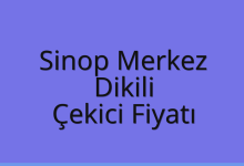 Sinop Merkez Çekici Fiyatı – Dikili Oto Kurtarıcı Ücreti
