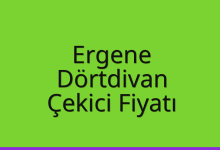 Ergene Çekici Fiyatı – Dörtdivan Oto Kurtarıcı Ücreti