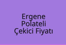Ergene Çekici Fiyatı – Polateli Oto Kurtarıcı Ücreti