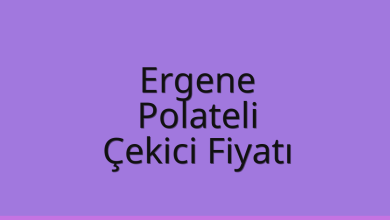 Ergene Çekici Fiyatı – Polateli Oto Kurtarıcı Ücreti