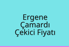 Ergene Çekici Fiyatı – Çamardı Oto Kurtarıcı Ücreti