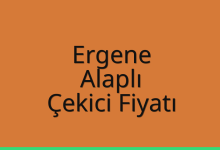 Ergene Çekici Fiyatı – Alaplı Oto Kurtarıcı Ücreti