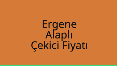 Ergene Çekici Fiyatı - Alaplı Oto Kurtarıcı Ücreti Ergene Çekici Fiyatı – Alaplı Oto Kurtarıcı Ücreti