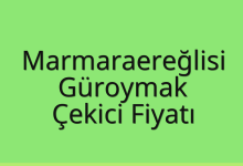 Marmaraereğlisi Çekici Fiyatı – Güroymak Oto Kurtarıcı Ücreti