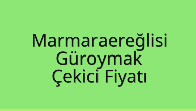 Marmaraereğlisi Çekici Fiyatı – Güroymak Oto Kurtarıcı Ücreti