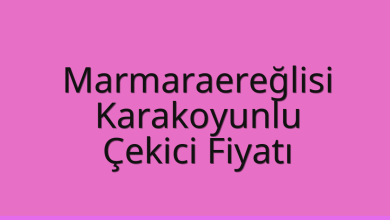 Marmaraereğlisi Çekici Fiyatı – Karakoyunlu Oto Kurtarıcı Ücreti