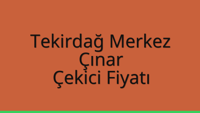 Tekirdağ Merkez Çekici Fiyatı – Çınar Oto Kurtarıcı Ücreti