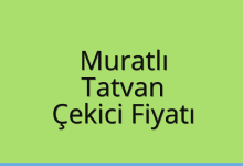 Muratlı Çekici Fiyatı – Tatvan Oto Kurtarıcı Ücreti