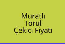 Muratlı Çekici Fiyatı – Torul Oto Kurtarıcı Ücreti