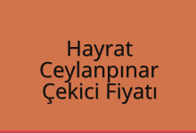 Hayrat Çekici Fiyatı – Ceylanpınar Oto Kurtarıcı Ücreti