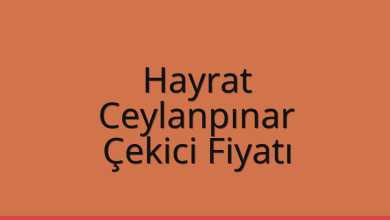 Hayrat Çekici Fiyatı - Ceylanpınar Oto Kurtarıcı Ücreti Hayrat Çekici Fiyatı – Ceylanpınar Oto Kurtarıcı Ücreti