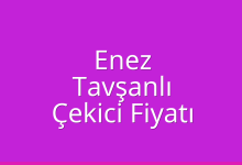 Enez Çekici Fiyatı – Tavşanlı Oto Kurtarıcı Ücreti