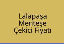 Lalapaşa Çekici Fiyatı – Menteşe Oto Kurtarıcı Ücreti