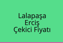 Lalapaşa Çekici Fiyatı – Erciş Oto Kurtarıcı Ücreti