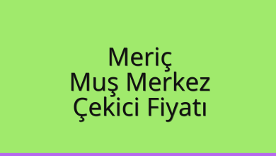 Meriç Çekici Fiyatı – Muş Merkez Oto Kurtarıcı Ücreti