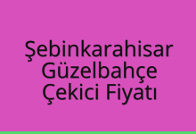 Şebinkarahisar Çekici Fiyatı – Güzelbahçe Oto Kurtarıcı Ücreti