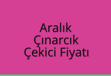 Aralık Çekici Fiyatı – Çınarcık Oto Kurtarıcı Ücreti