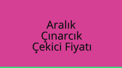 Aralık Çekici Fiyatı – Çınarcık Oto Kurtarıcı Ücreti