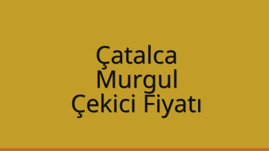 Çatalca Çekici Fiyatı – Murgul Oto Kurtarıcı Ücreti