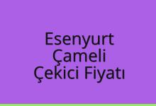Esenyurt Çekici Fiyatı – Çameli Oto Kurtarıcı Ücreti