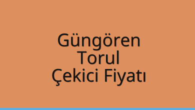 Güngören Çekici Fiyatı - Torul Oto Kurtarıcı Ücreti Güngören Çekici Fiyatı – Torul Oto Kurtarıcı Ücreti