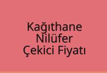 Kağıthane Çekici Fiyatı – Nilüfer Oto Kurtarıcı Ücreti