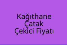 Kağıthane Çekici Fiyatı – Çatak Oto Kurtarıcı Ücreti
