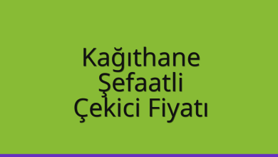 Kağıthane Çekici Fiyatı – Şefaatli Oto Kurtarıcı Ücreti