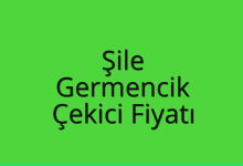 Şile Çekici Fiyatı – Germencik Oto Kurtarıcı Ücreti