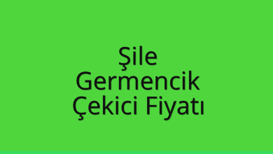 Şile Çekici Fiyatı – Germencik Oto Kurtarıcı Ücreti