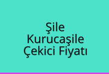 Şile Çekici Fiyatı – Kurucaşile Oto Kurtarıcı Ücreti