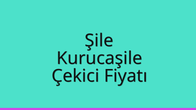 Şile Çekici Fiyatı - Kurucaşile Oto Kurtarıcı Ücreti Şile Çekici Fiyatı – Kurucaşile Oto Kurtarıcı Ücreti