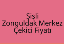 Şişli Çekici Fiyatı – Zonguldak Merkez Oto Kurtarıcı Ücreti