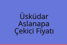 Üsküdar Çekici Fiyatı – Aslanapa Oto Kurtarıcı Ücreti