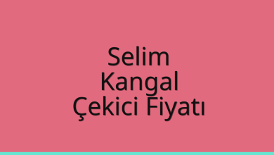 Selim Çekici Fiyatı – Kangal Oto Kurtarıcı Ücreti
