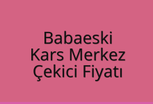 Babaeski Çekici Fiyatı – Kars Merkez Oto Kurtarıcı Ücreti