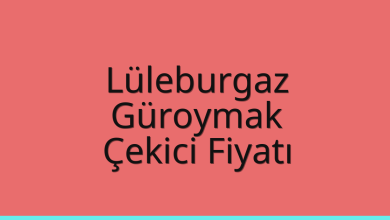 Lüleburgaz Çekici Fiyatı – Güroymak Oto Kurtarıcı Ücreti