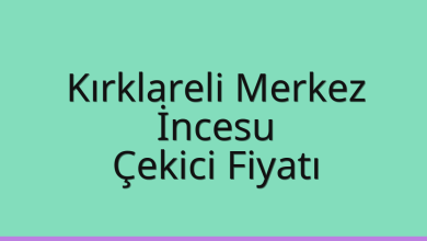 Kırklareli Merkez Çekici Fiyatı - İncesu Oto Kurtarıcı Ücreti Kırklareli Merkez Çekici Fiyatı – İncesu Oto Kurtarıcı Ücreti